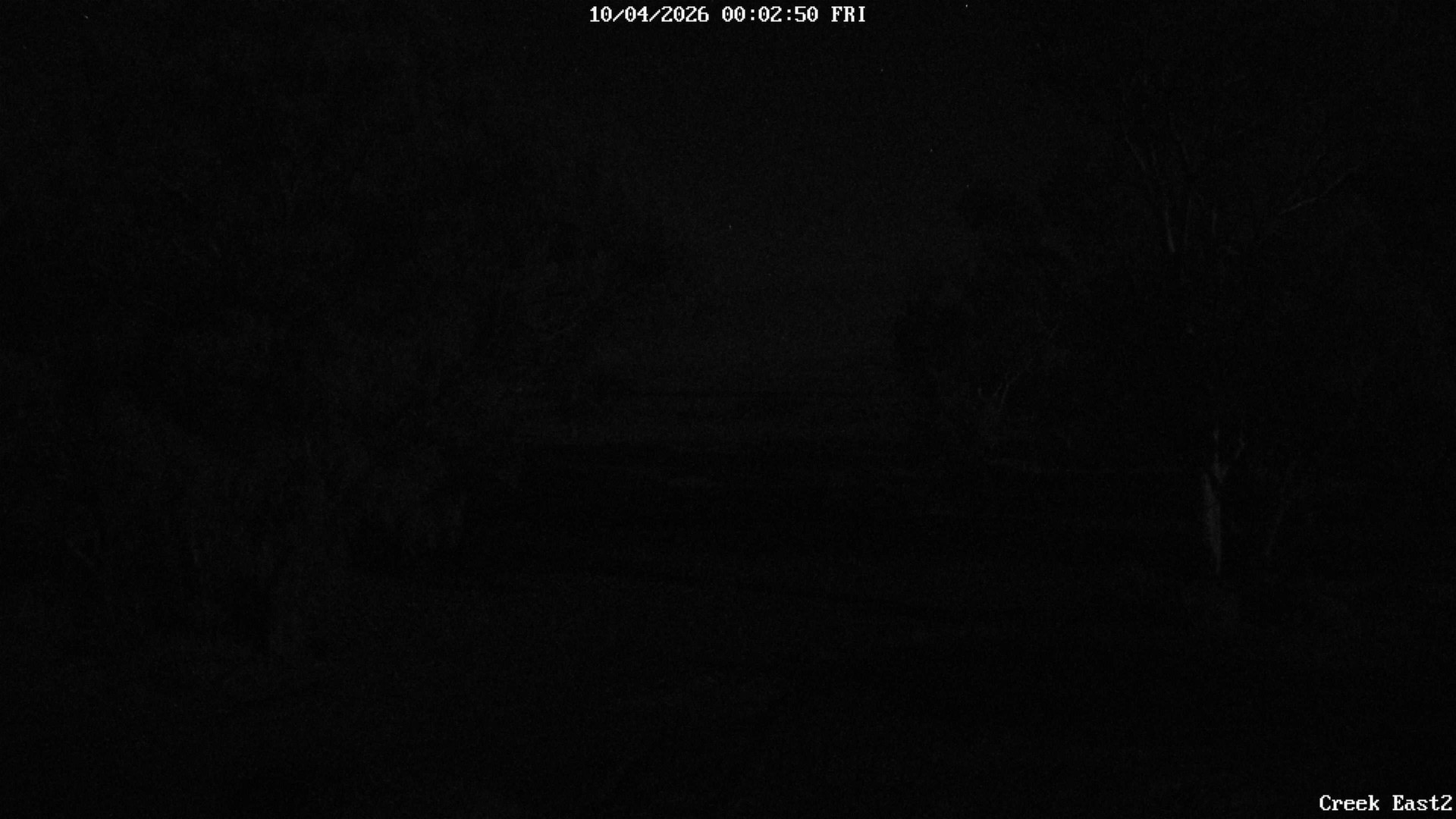 time-lapse frame, CreekCam East webcam