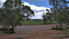 view from CreekCam East on 2026-04-11