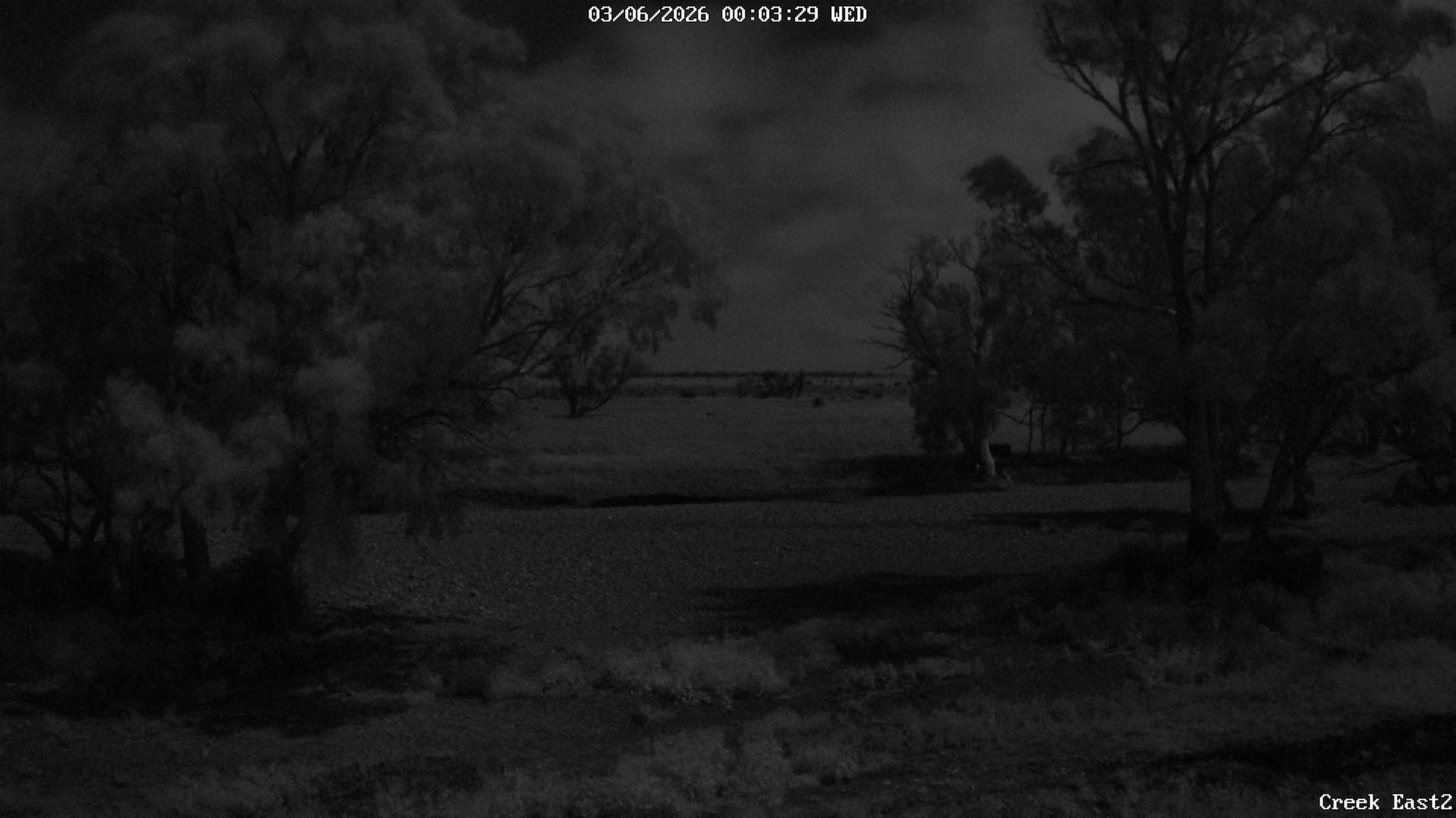 time-lapse frame, CreekCam East webcam