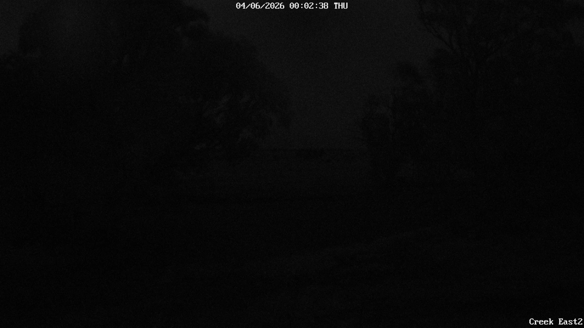 time-lapse frame, CreekCam East webcam