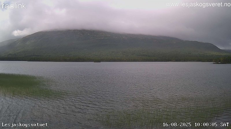 time-lapse frame, Lesjaskogsvatnet webcam