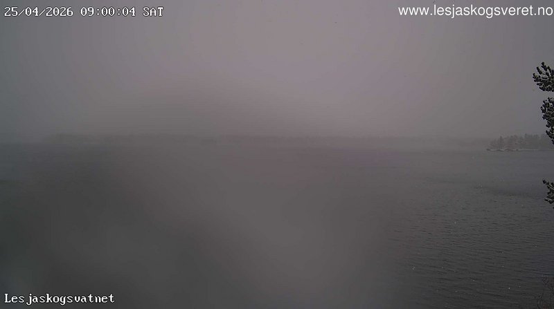 time-lapse frame, Lesjaskogsvatnet webcam