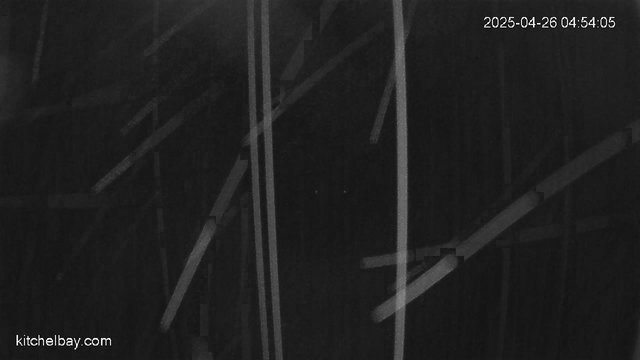 time-lapse frame, kitchelbay.com webcam