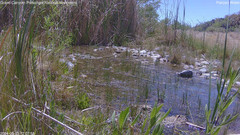 view from Pakoon Springs Stream Side on 2024-05-03