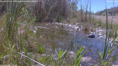 view from Pakoon Springs Stream Side on 2024-05-08
