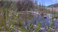 view from Pakoon Springs Stream Side on 2024-05-09