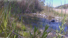 view from Pakoon Springs Stream Side on 2024-05-11