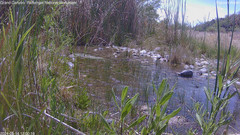 view from Pakoon Springs Stream Side on 2024-05-14
