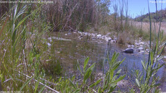 view from Pakoon Springs Stream Side on 2024-05-15