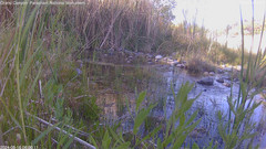 view from Pakoon Springs Stream Side on 2024-05-16