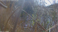 view from Pakoon Springs Stream Side on 2024-12-21