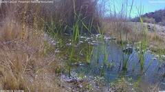 view from Pakoon Springs Stream Side on 2025-02-24