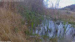 view from Pakoon Springs Stream Side on 2025-03-06