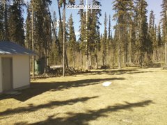 view from Cabin Cam on 2024-04-17