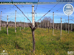view from Bari Sardo - Fenologica on 2024-03-17