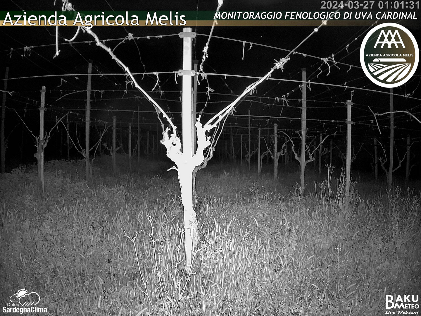 time-lapse frame, Bari Sardo - Fenologica webcam