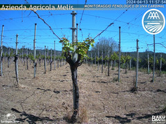 view from Bari Sardo - Fenologica on 2024-04-13