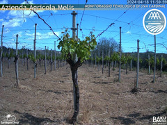 view from Bari Sardo - Fenologica on 2024-04-18