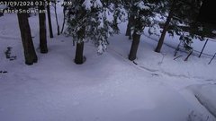 view from Tahoe Snow Cam on 2024-03-24