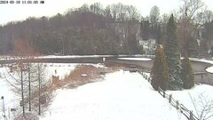 view from YardCam on 2024-03-18