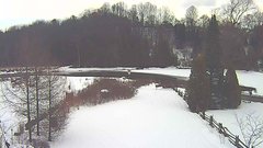 view from YardCam on 2024-12-08