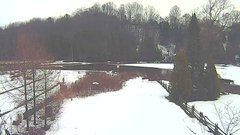 view from YardCam on 2024-12-10