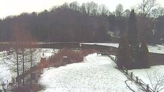 view from YardCam on 2024-12-19