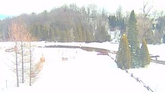 view from YardCam on 2025-02-26