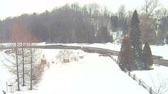 view from YardCam on 2025-03-06