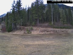 view from Stadium.Cam on 2025-05-04