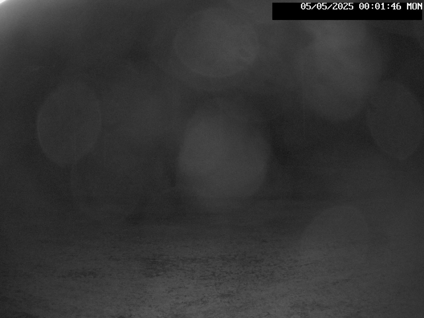 time-lapse frame, Stadium.Cam webcam