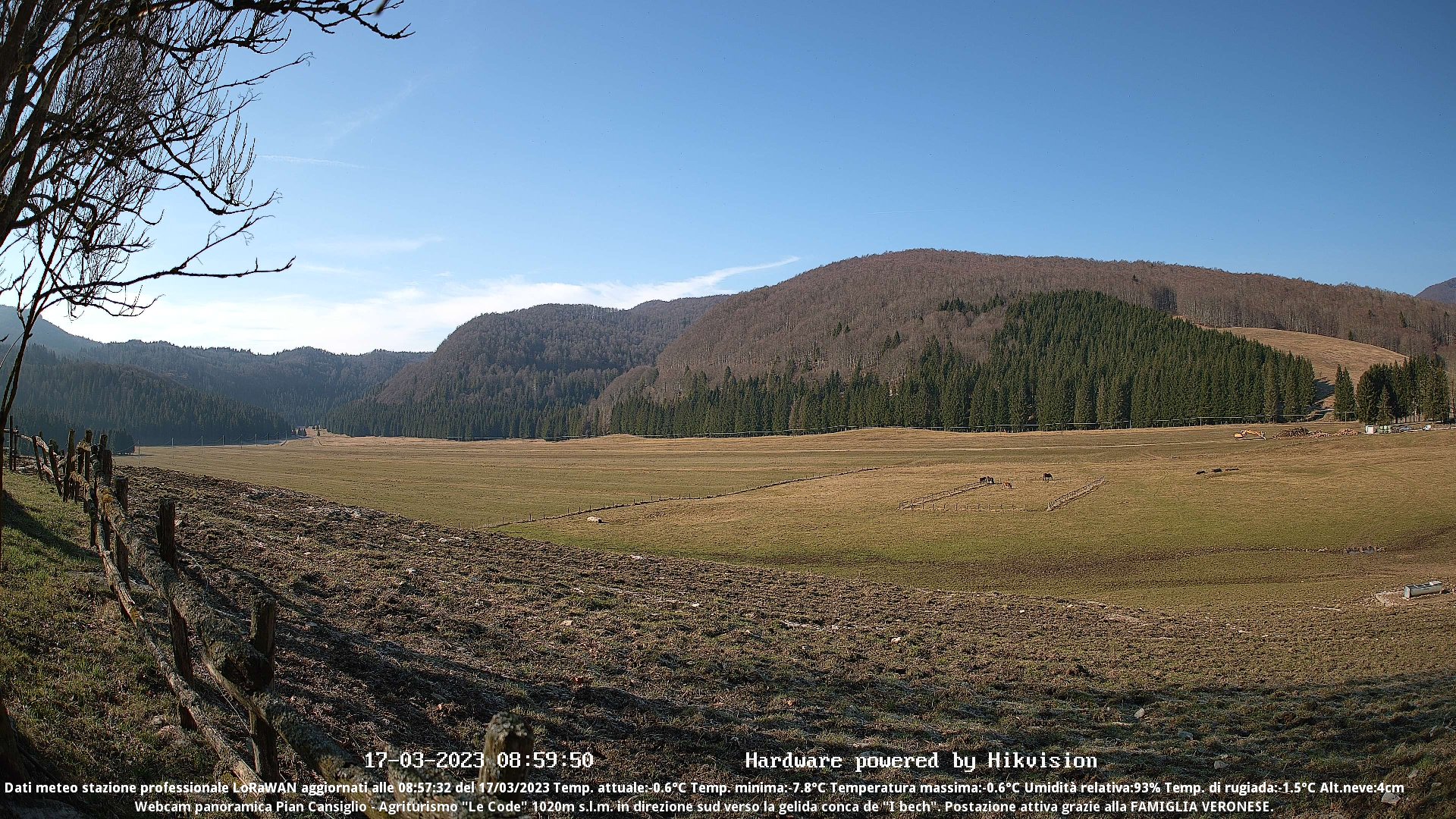 time-lapse frame, Webcam Cansiglio - verso la piana dei "Bech" webcam