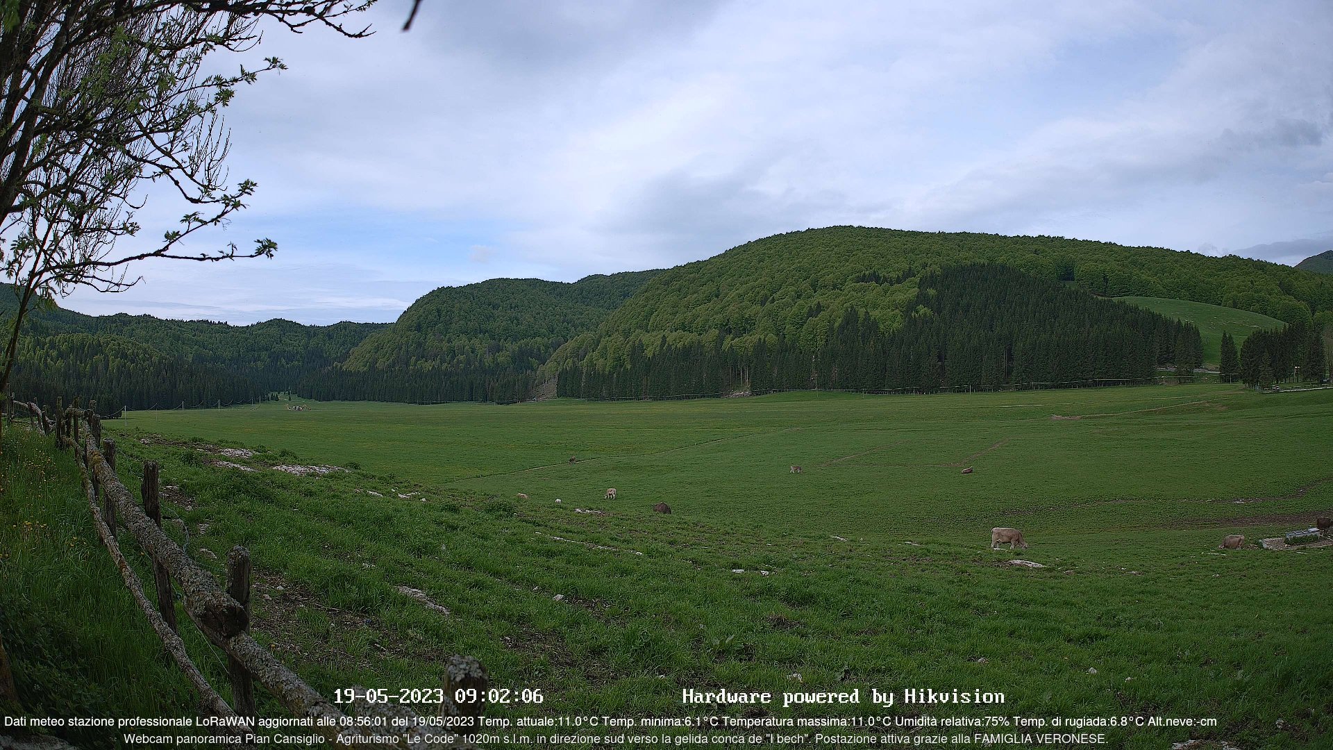 time-lapse frame, Webcam Cansiglio - verso la piana dei "Bech" webcam