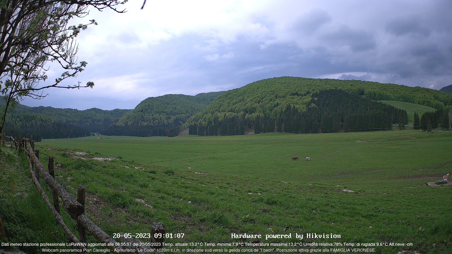 time-lapse frame, Webcam Cansiglio - verso la piana dei "Bech" webcam