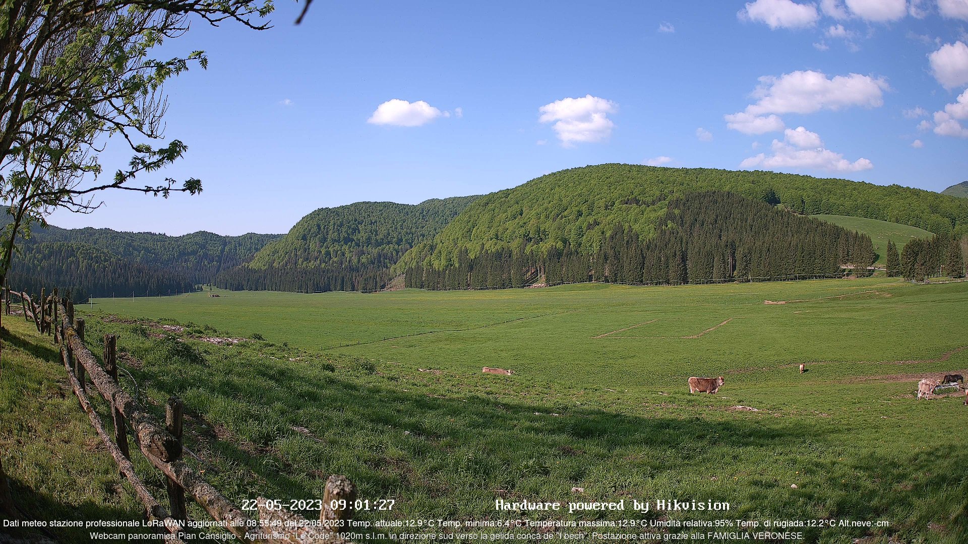 time-lapse frame, Webcam Cansiglio - verso la piana dei "Bech" webcam