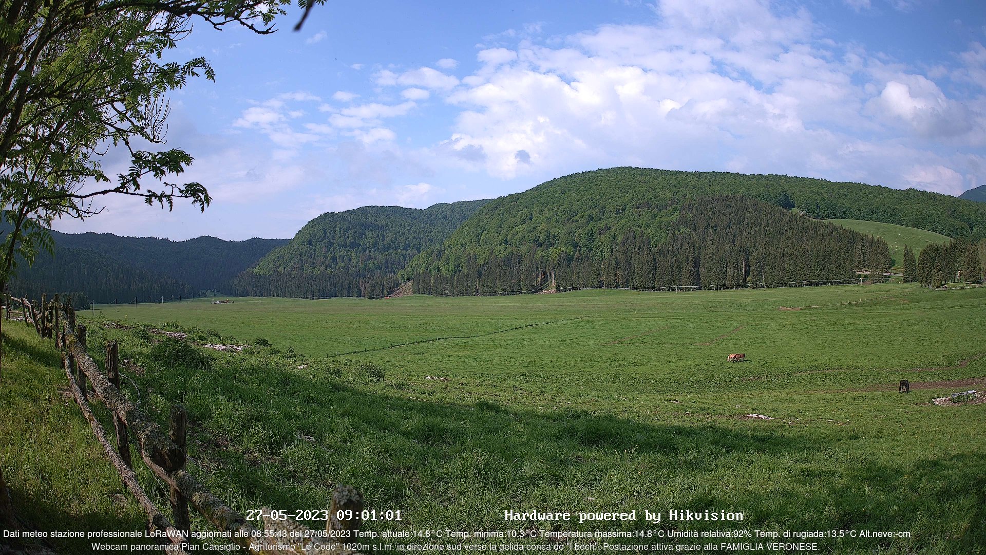 time-lapse frame, Webcam Cansiglio - verso la piana dei "Bech" webcam
