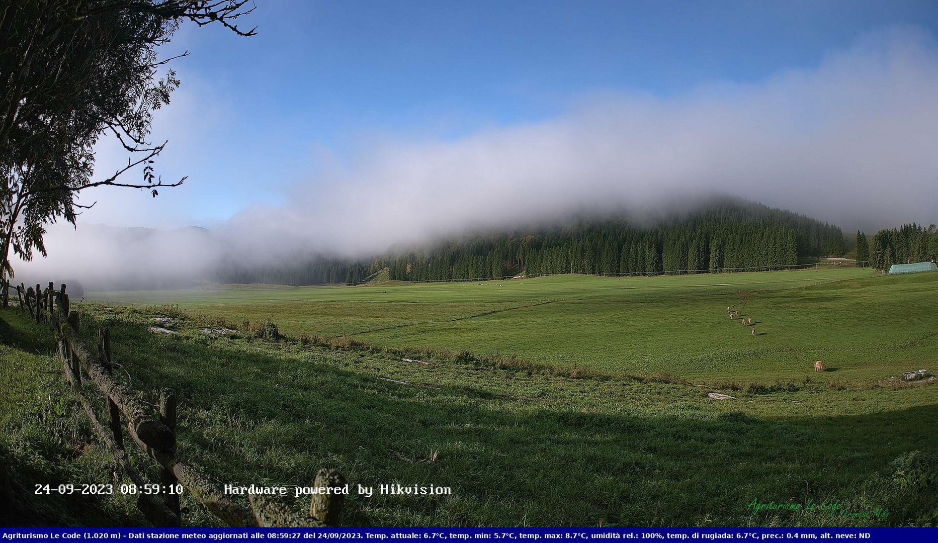 time-lapse frame, Webcam Cansiglio - verso la piana dei "Bech" webcam