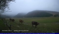 view from Webcam Cansiglio - verso la piana dei "Bech" on 2024-03-28