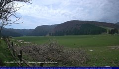 view from Webcam Cansiglio - verso la piana dei "Bech" on 2024-04-15