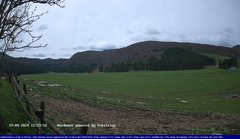 view from Webcam Cansiglio - verso la piana dei "Bech" on 2024-04-19