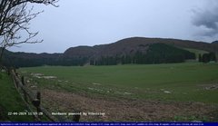 view from Webcam Cansiglio - verso la piana dei "Bech" on 2024-04-22