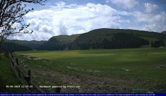 view from Webcam Cansiglio - verso la piana dei "Bech" on 2024-05-05