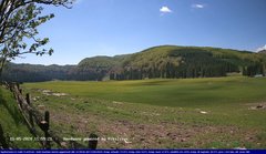 view from Webcam Cansiglio - verso la piana dei "Bech" on 2024-05-11