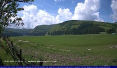 view from Webcam Cansiglio - verso la piana dei "Bech" on 2024-05-20