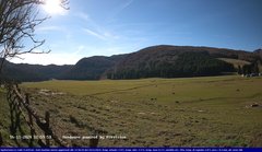 view from Webcam Cansiglio - verso la piana dei "Bech" on 2024-11-16