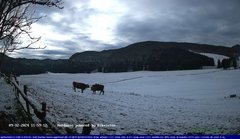 view from Webcam Cansiglio - verso la piana dei "Bech" on 2024-12-09