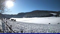 view from Webcam Cansiglio - verso la piana dei "Bech" on 2024-12-24