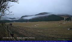 view from Webcam Cansiglio - verso la piana dei "Bech" on 2025-01-23