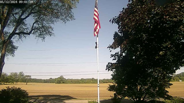 time-lapse frame, F1903P webcam