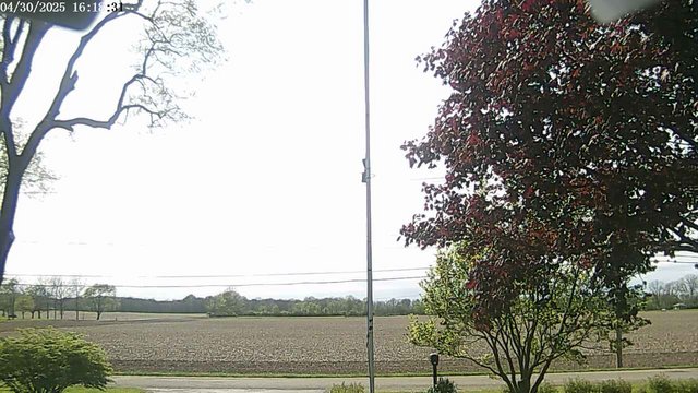 time-lapse frame, F1903P webcam